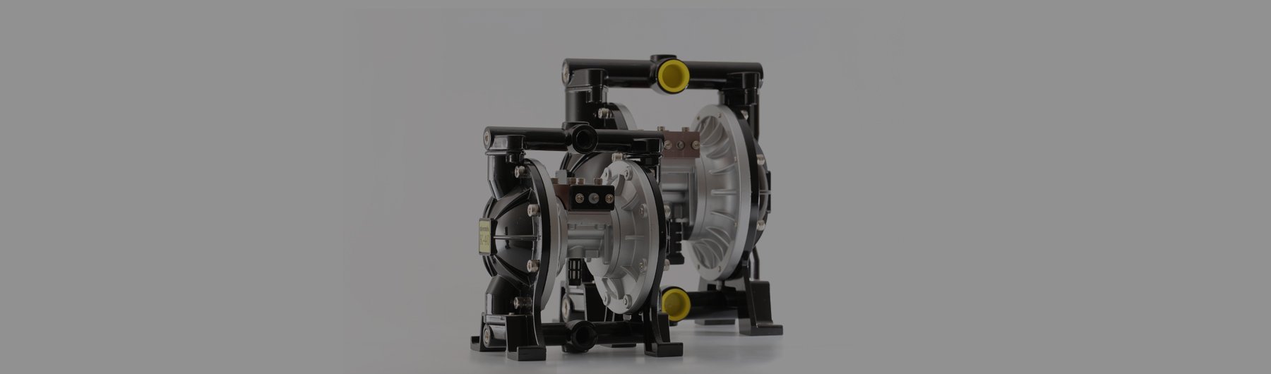 Transfer Pumps 